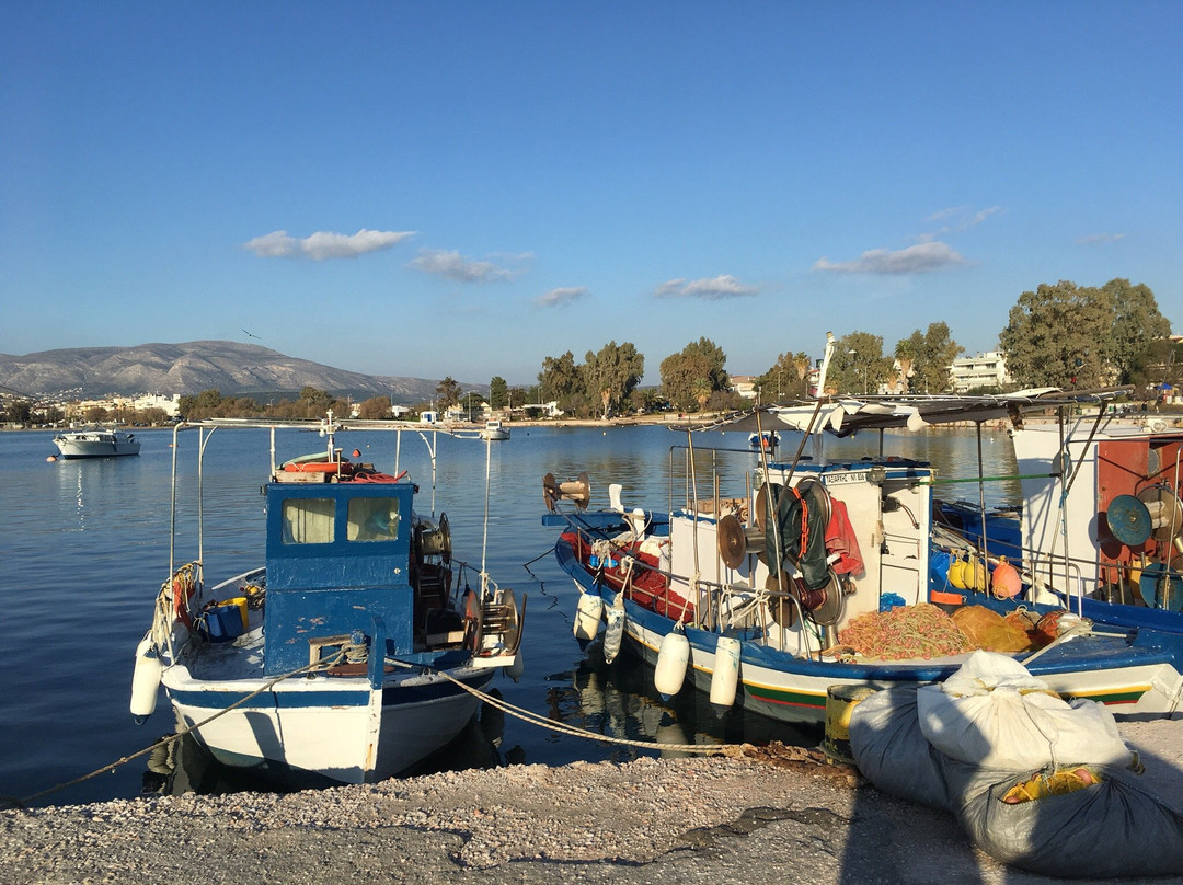 AthensTaxiPro-Pallini必去景点