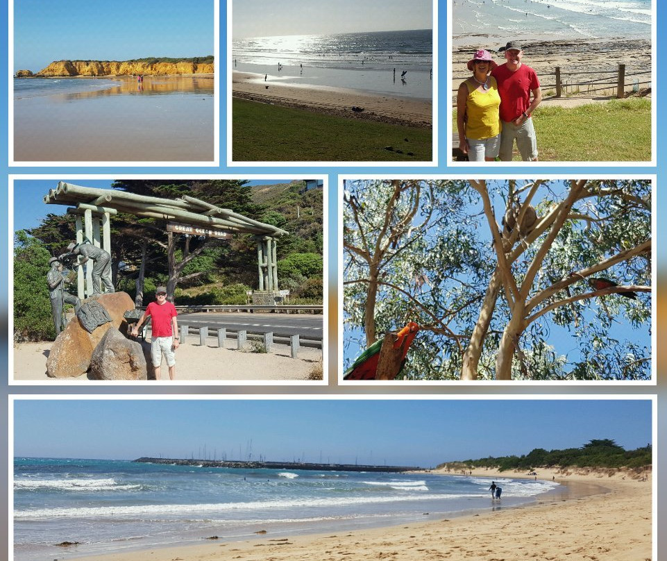 Melbourne Victoria Tours Day Tours景点图片