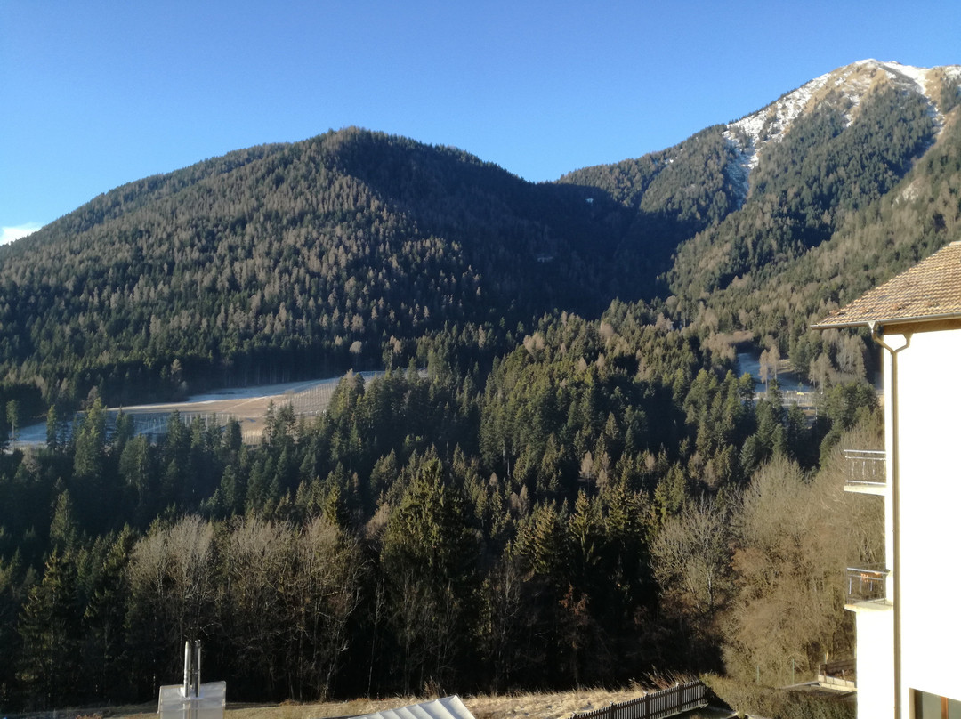 Albergo Cavallino Bianco主图