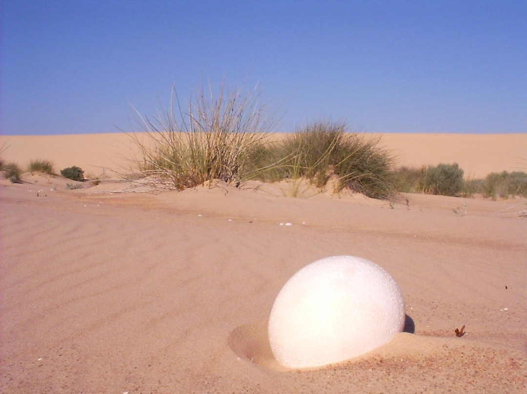 Diamond Coast-Kleinsee必去景点