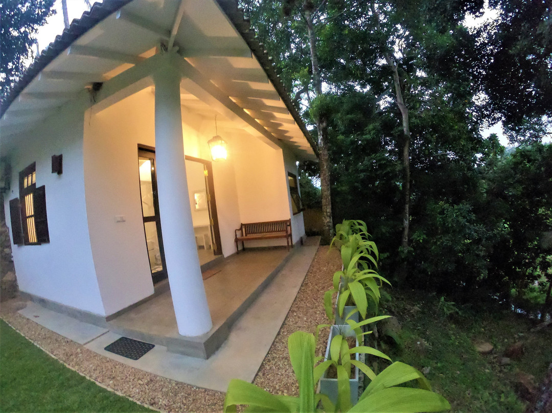 The Jungle Loft主图