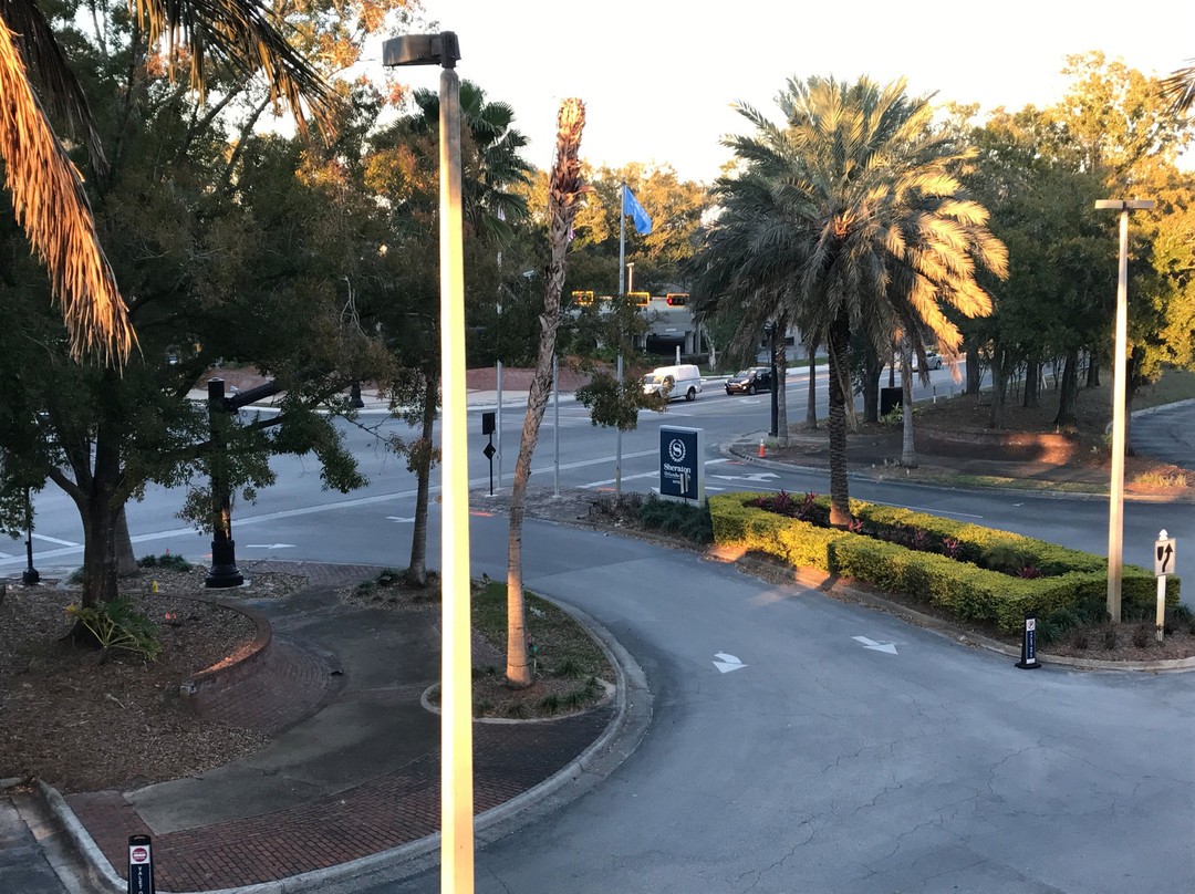 Sheraton Orlando North Hotel主图