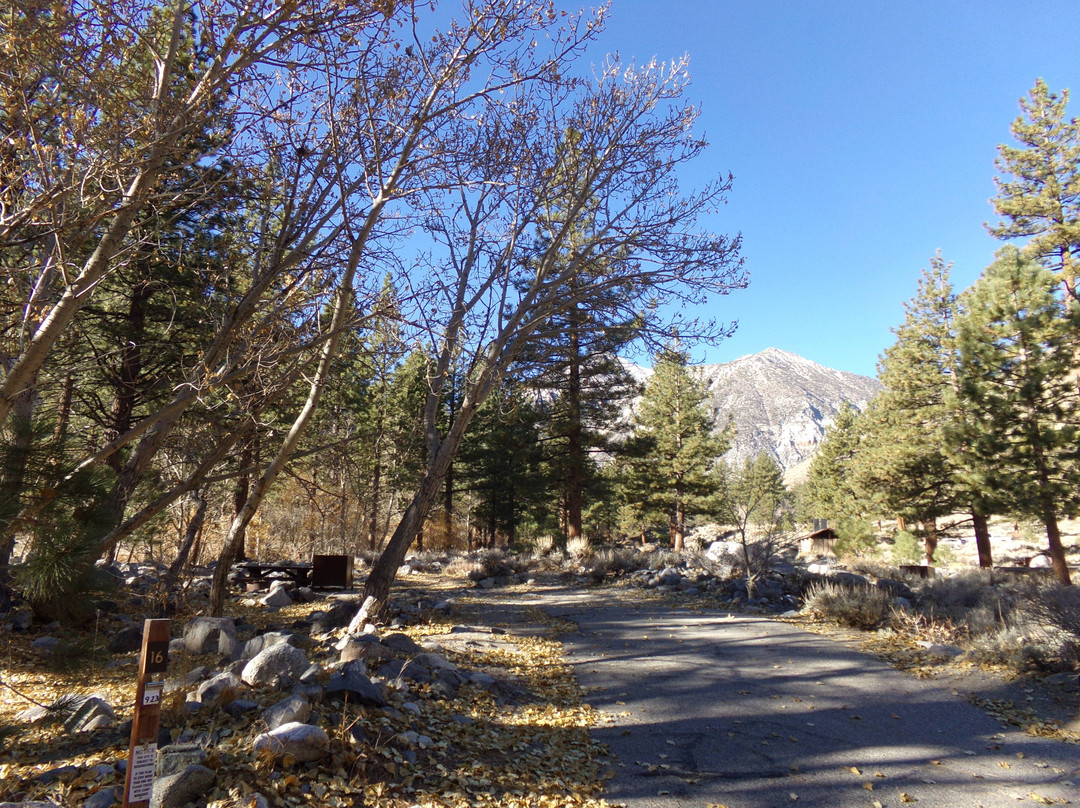 Sage Flat Campground