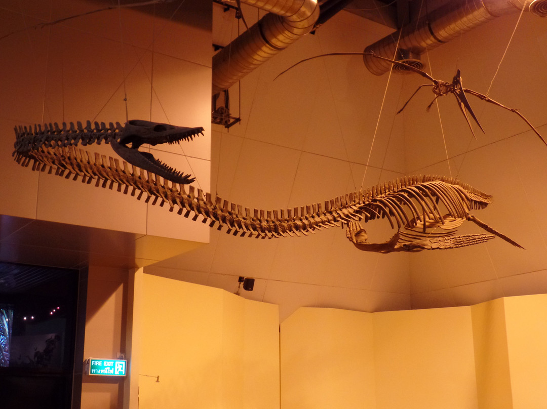 Kalasin Museum-加拉信必去景点