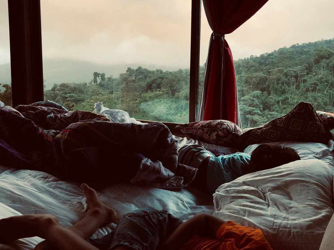 Birdsong Villa主图