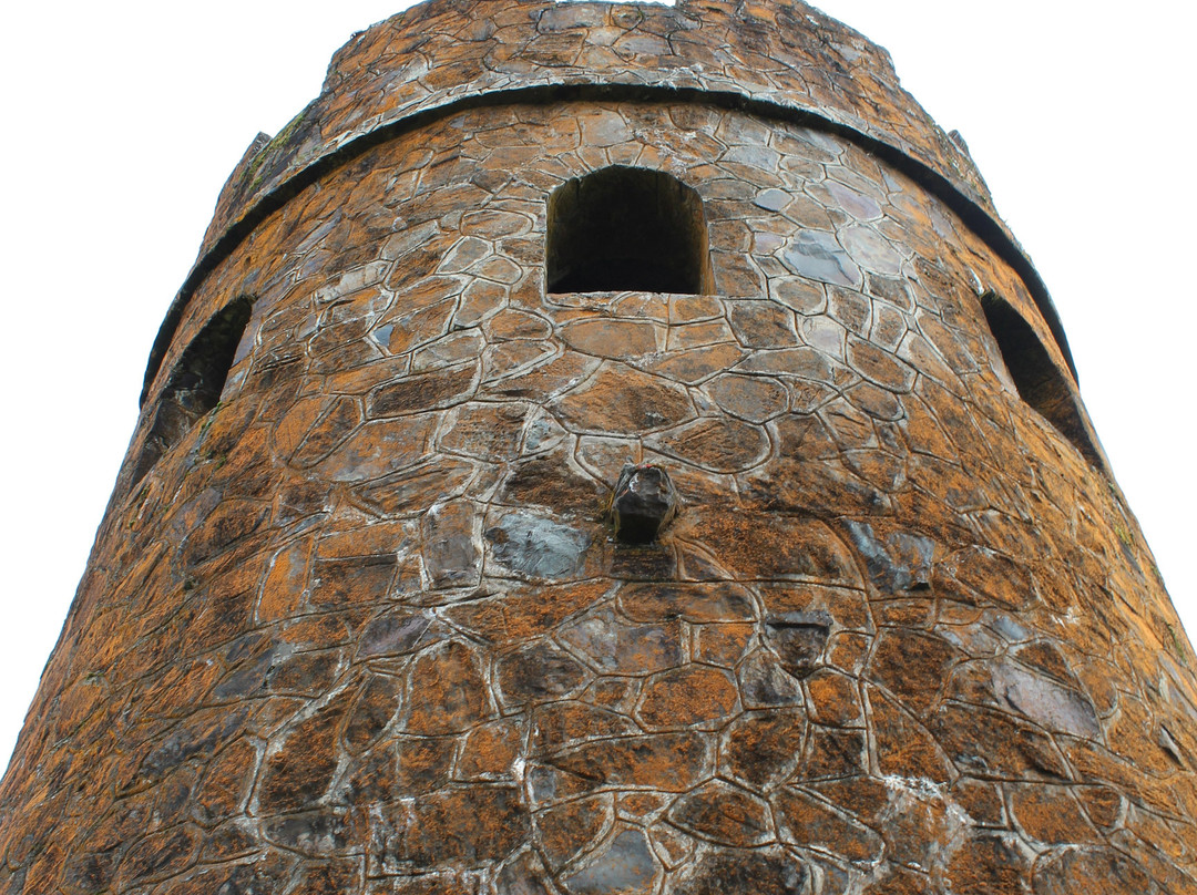 Mt. Britton Lookout Tower景点图片