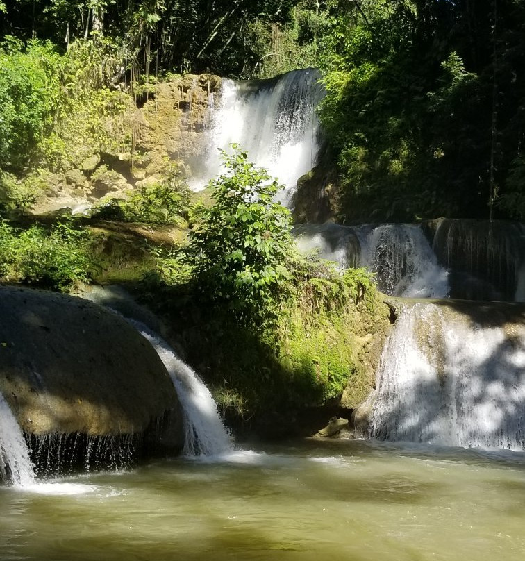 Emerald Taxi & Tours-Green Island必去景点