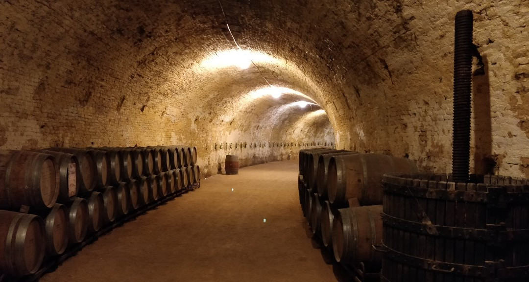 Bodegas del Real Cortijo景点图片