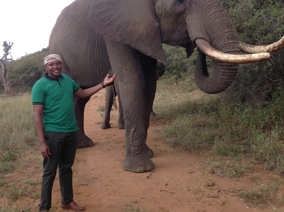 Ol Jogi Wildlife Conservancy-南由基必去景点