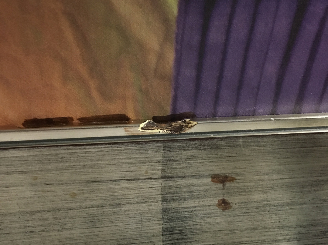 Baymont Inn & Suites Hutchinson ( Near Cosmosphere)主图