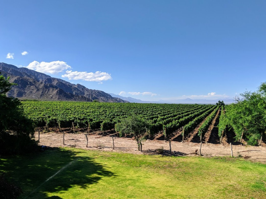 Altalaluna Hotel Boutique & Spa主图