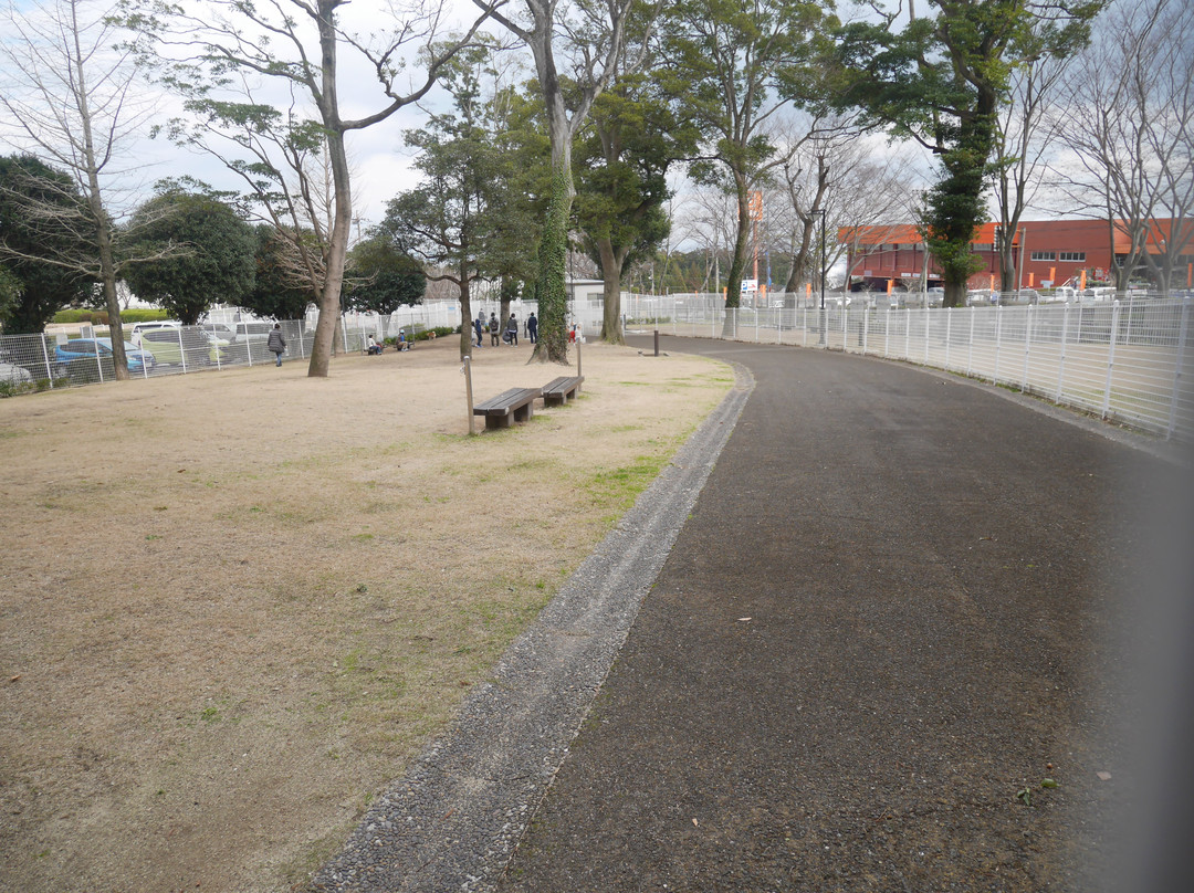 Beppu Municipal Dog Run-别府市必去景点