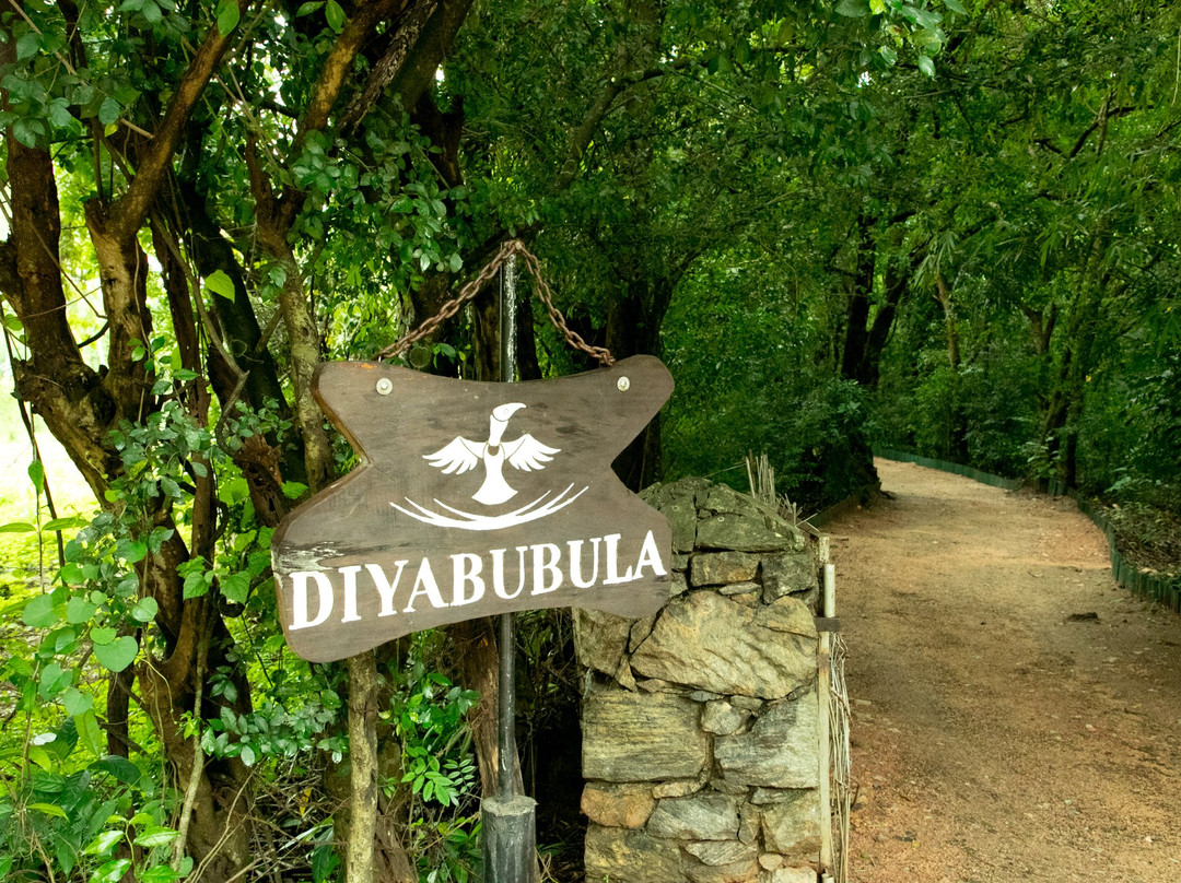Diyabubula, the Barberyn Art & Jungle Hideaway主图