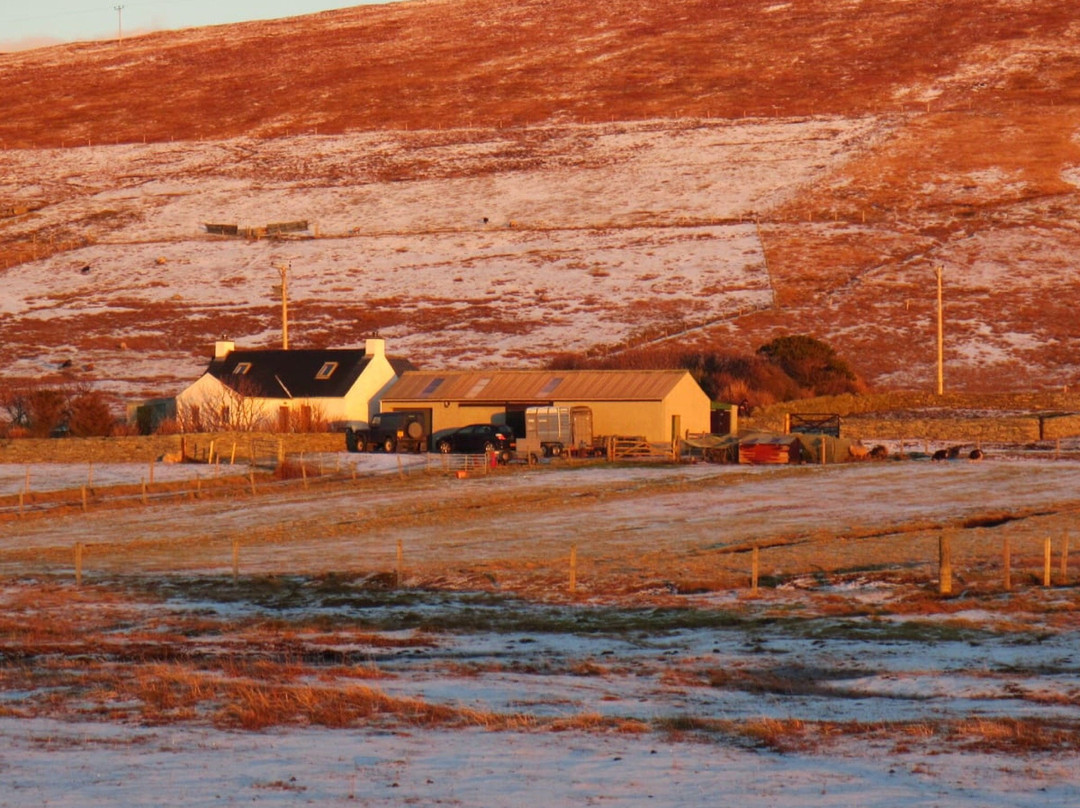 Scenic Shetland-Shetland Islands必去景点