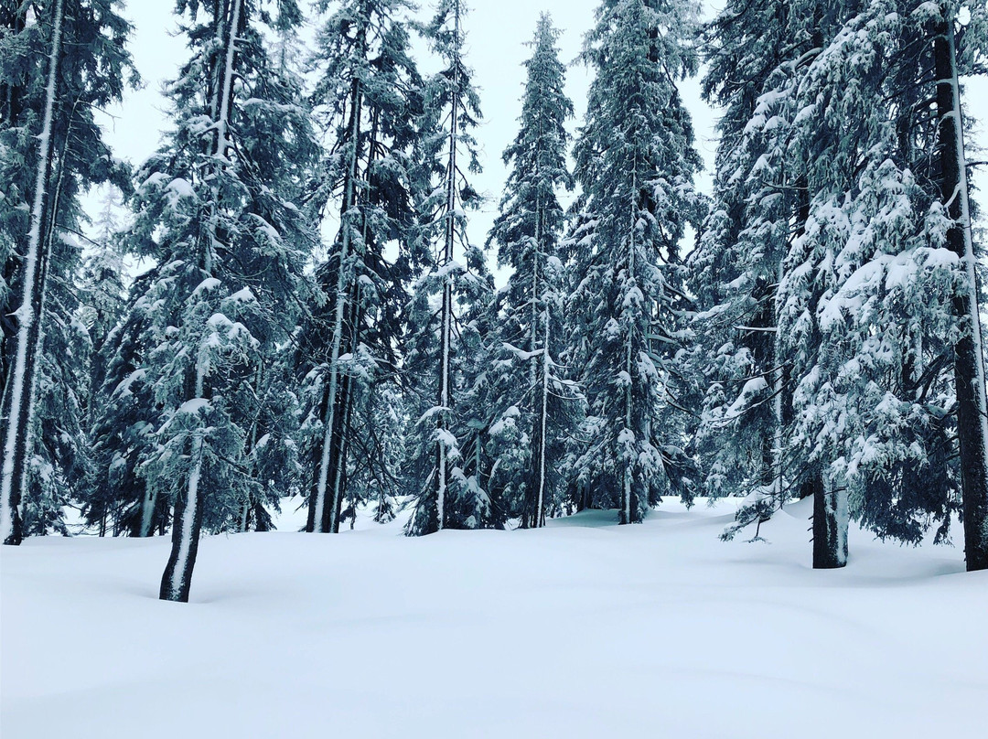 Skischule Bogei Filzmoos-菲尔兹摩斯必去景点