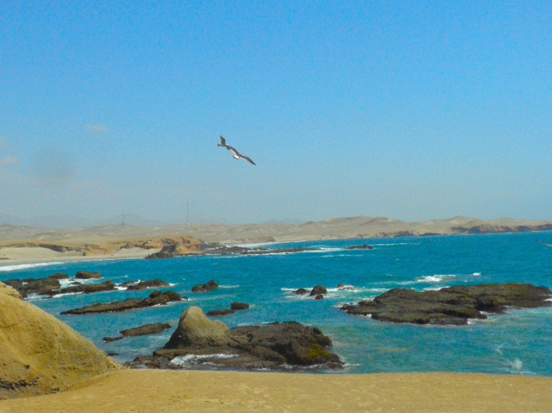 Tuquillo Tours-Huarmey必去景点