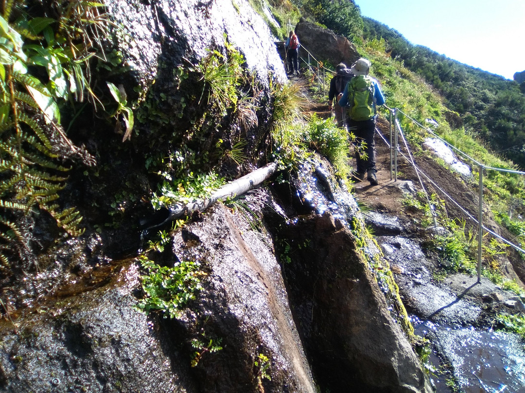 Caminho Real da Encumeada PR12-马德拉群岛必去景点