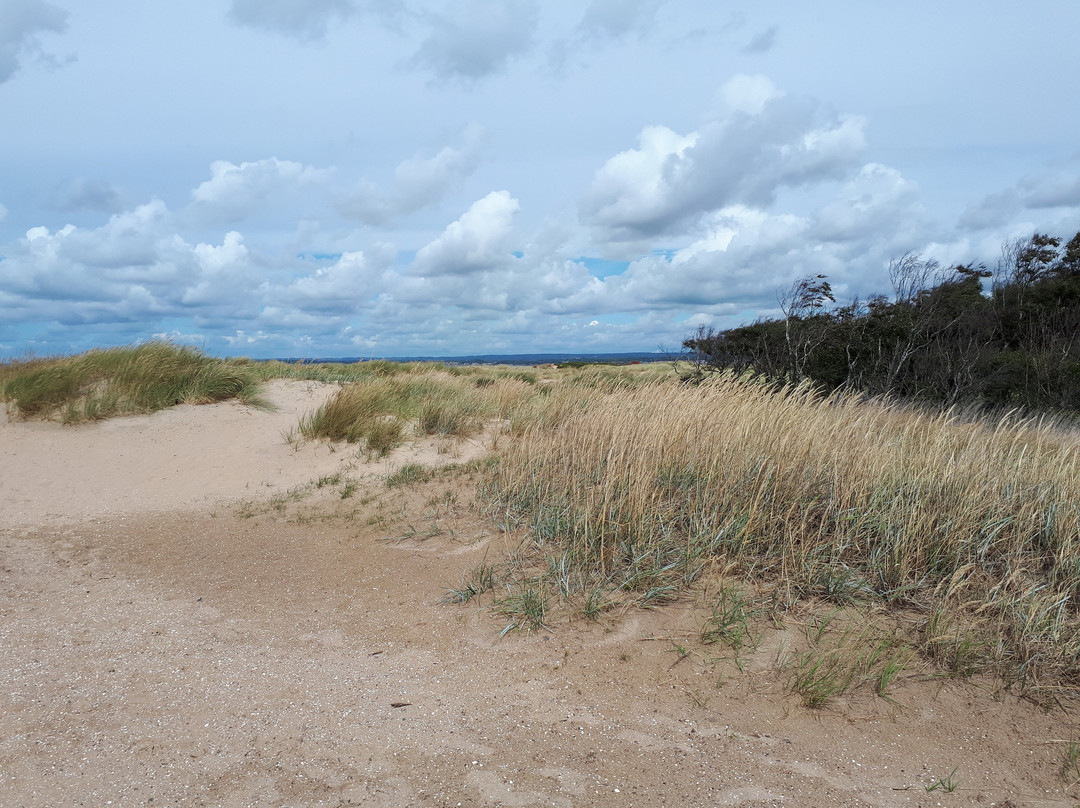 Sibirien Strand-Ängelholm必去景点
