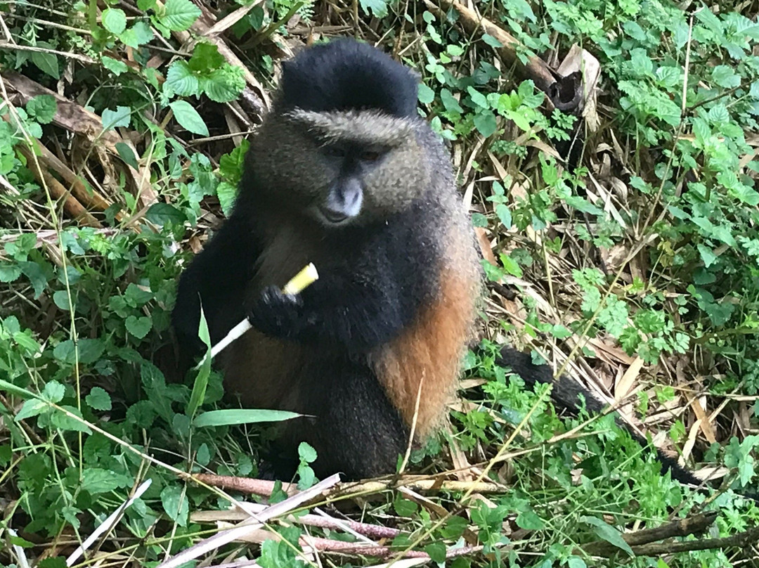 Nature Expeditions Africa-吉佳利必去景点