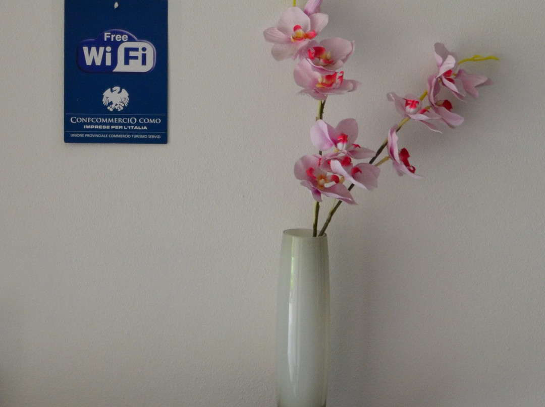 坎图酒店住宿-Villa Onorina B&B