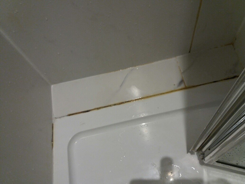 Court House Manor主图