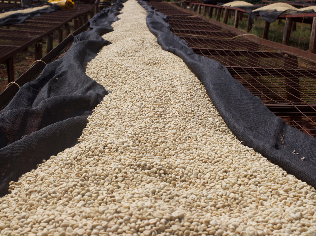 All seasons coffee-奇安波必去景点