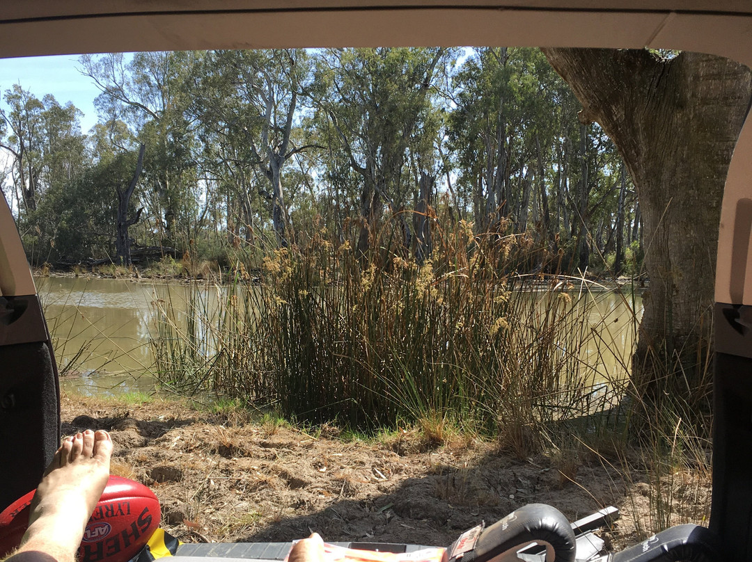 Gunbower National Park-Gunbower必去景点