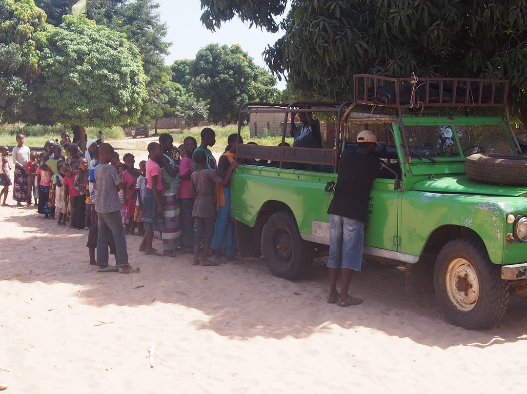 Gambia Safari景点图片