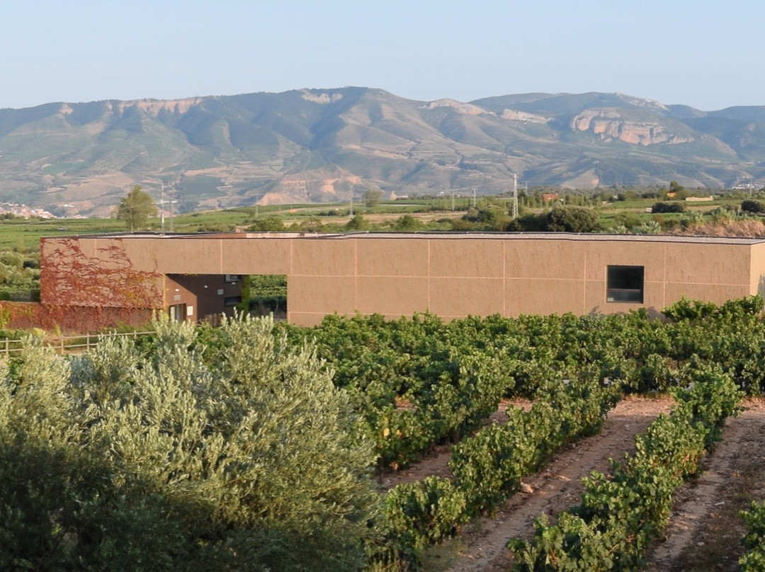 Finca de los Arandinos主图