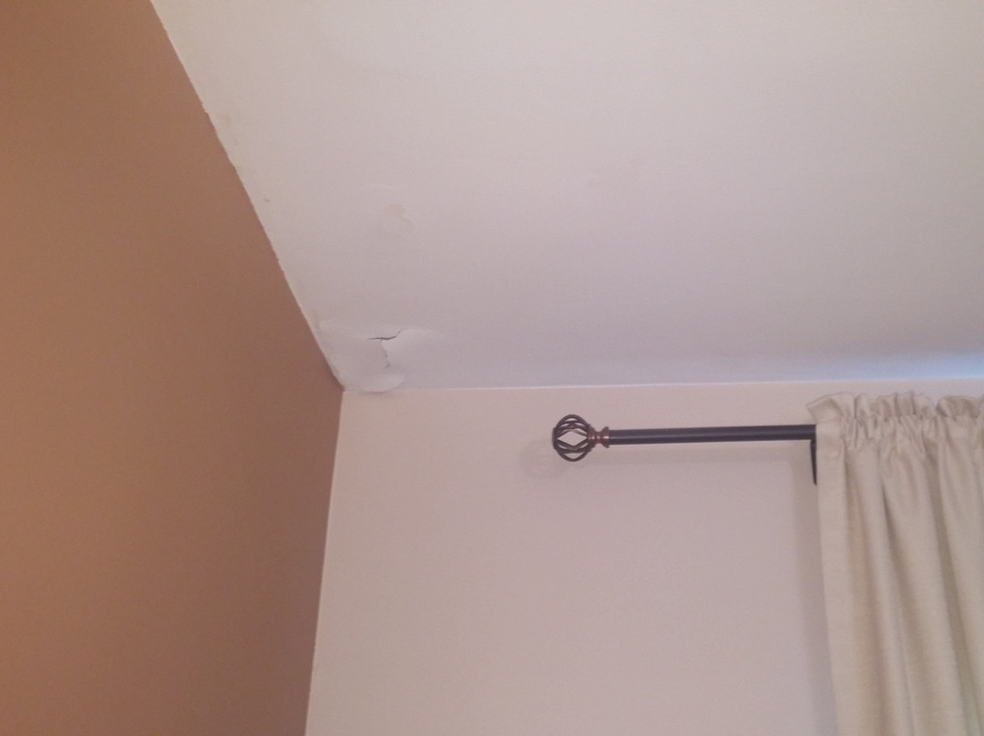 Bluebird Motel主图