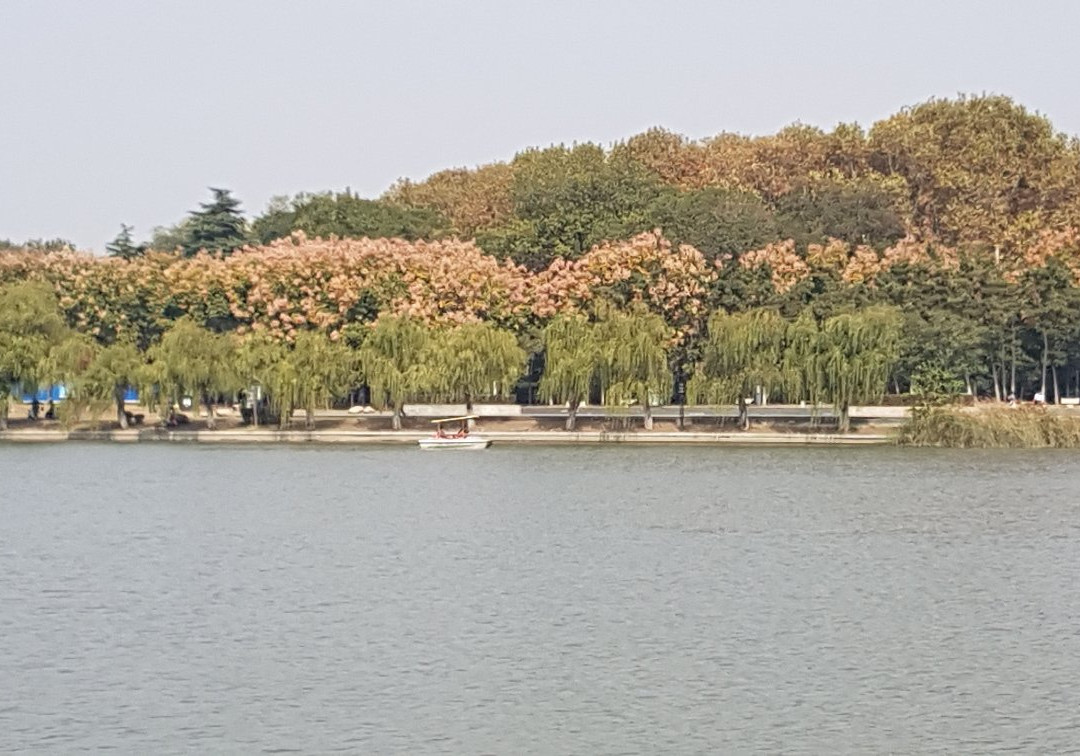 龙湖公园-淮南市必去景点