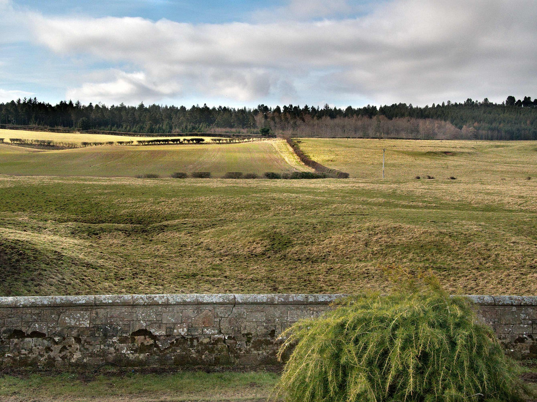 Fenwick Bed & Breakfast主图