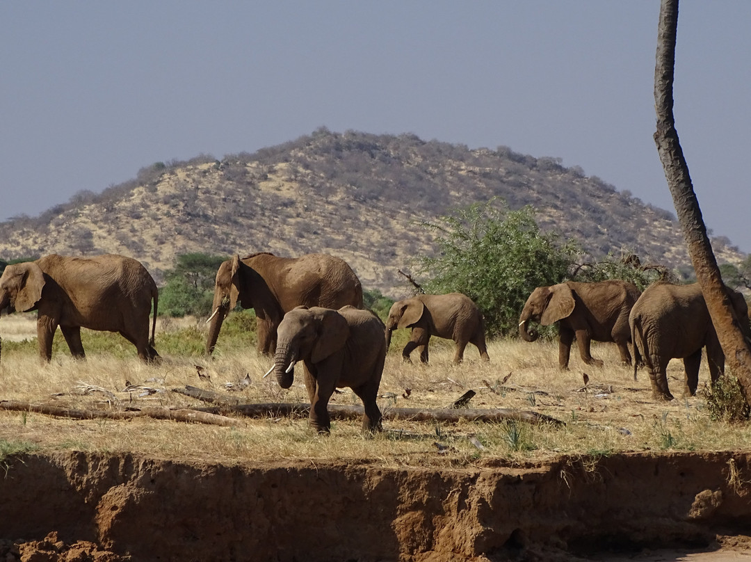 阿什尼尔桑布鲁营地酒店主图