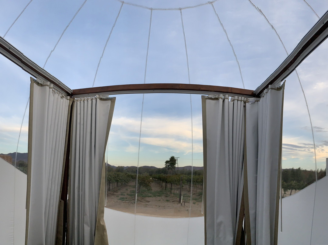 Campera Hotel Valle De Guadalupe主图