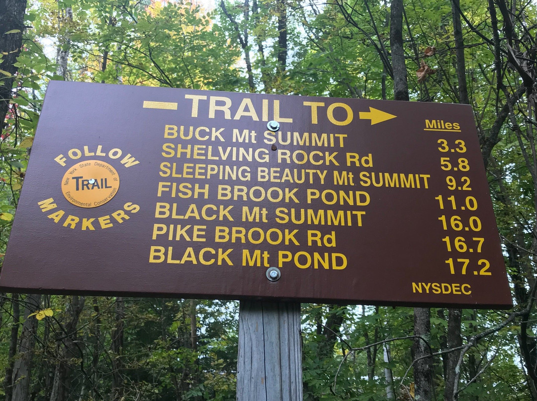 Buck mountain hiking trail-乔治湖必去景点