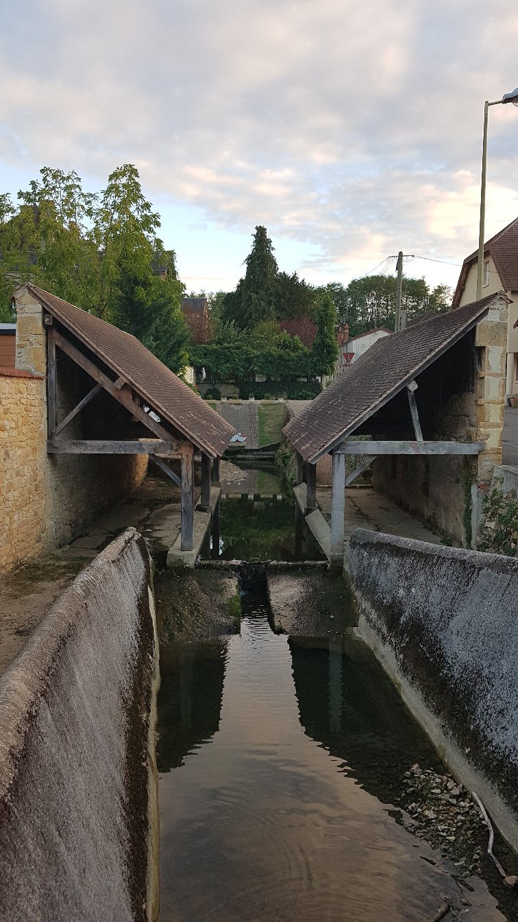 La Musardiere-官方