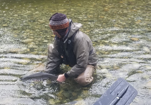 Cleanline Sportfishing Charters-托菲诺必去景点