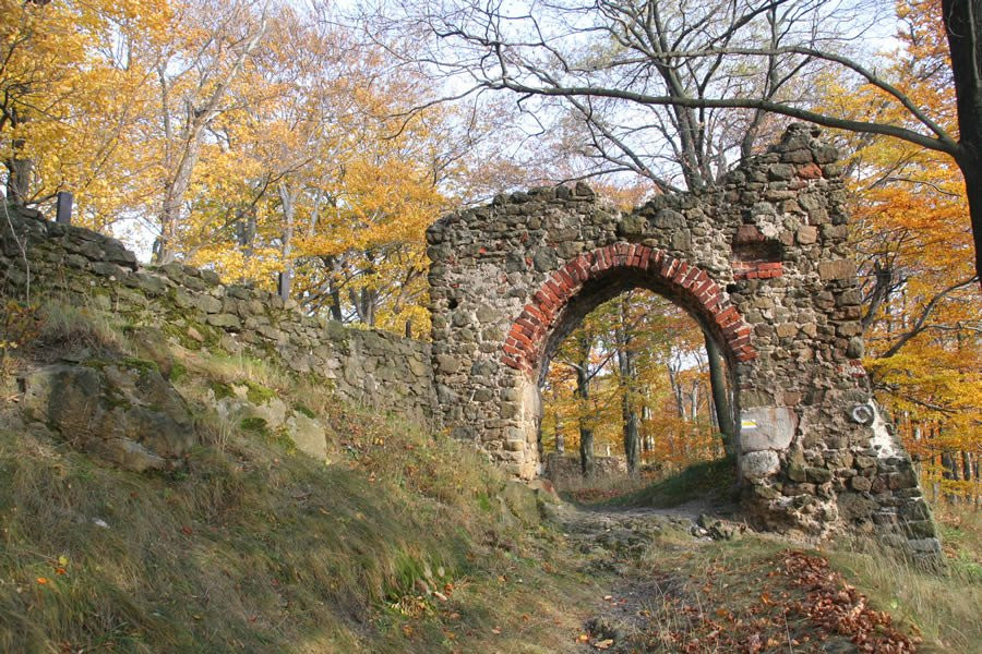 Nowy Dwor Castle Ruins景点图片