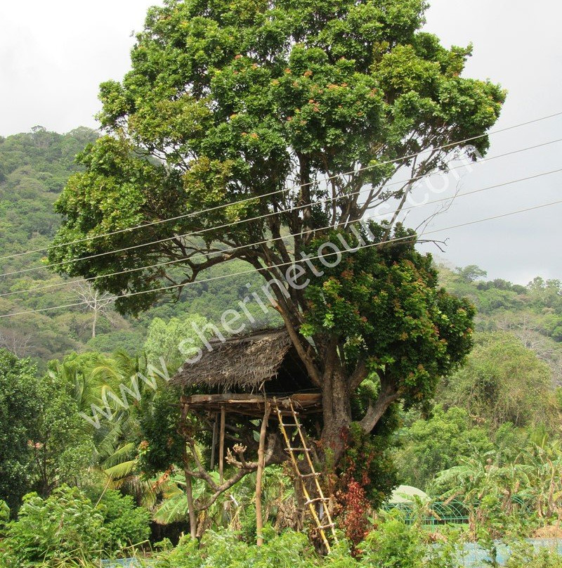 Sherine Tours-Waikkal必去景点