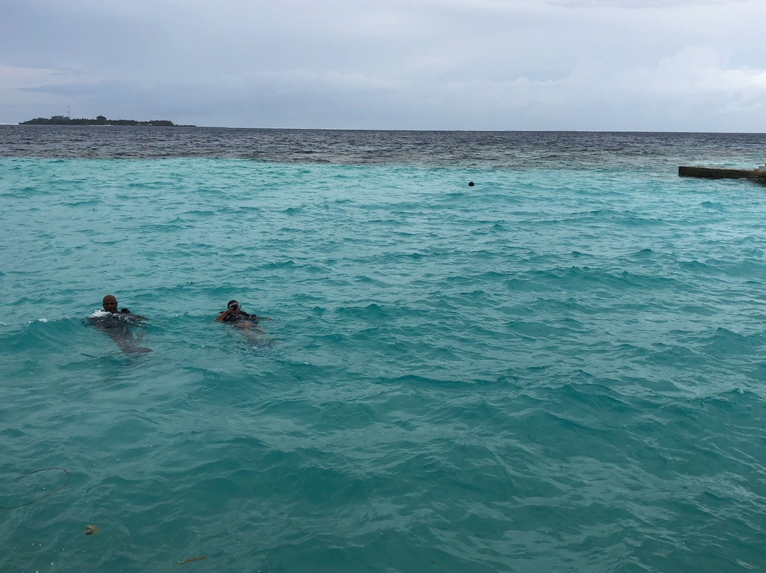 Atoll Scuba-Bodufolhudhoo必去景点