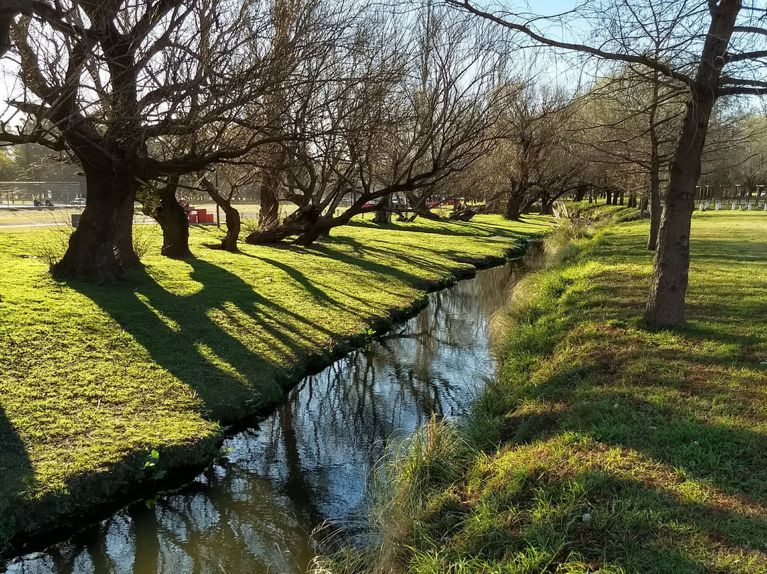 Parque Municipal Fortunato Chiaparra-Pigue必去景点