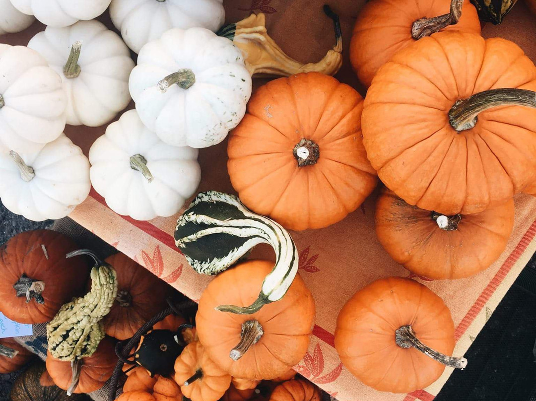 Red River Market-法戈必去景点