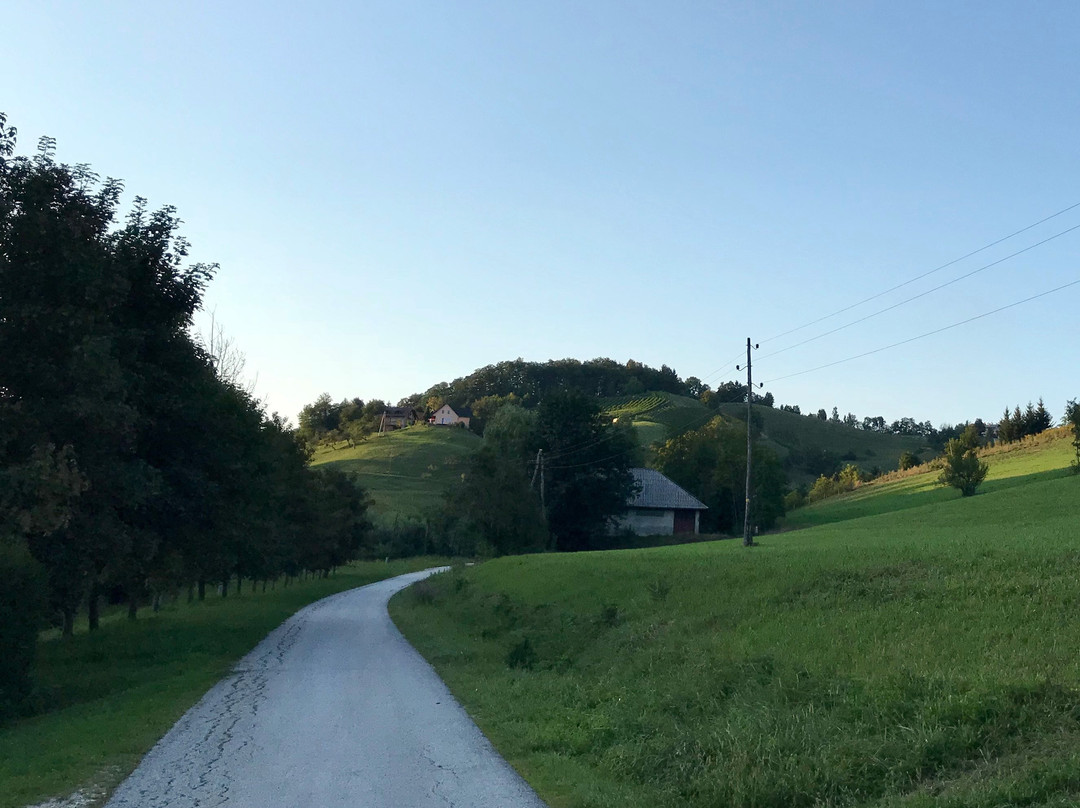 Gostisce Vracko主图