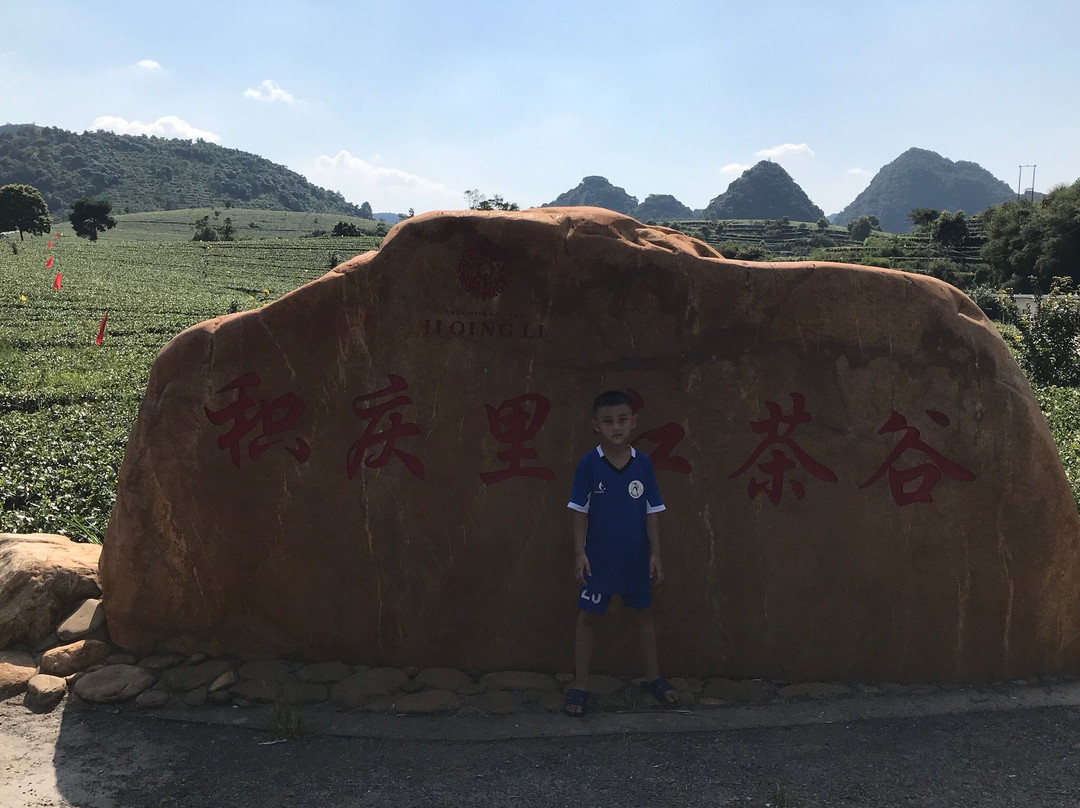 英德茶叶世界-英德市必去景点