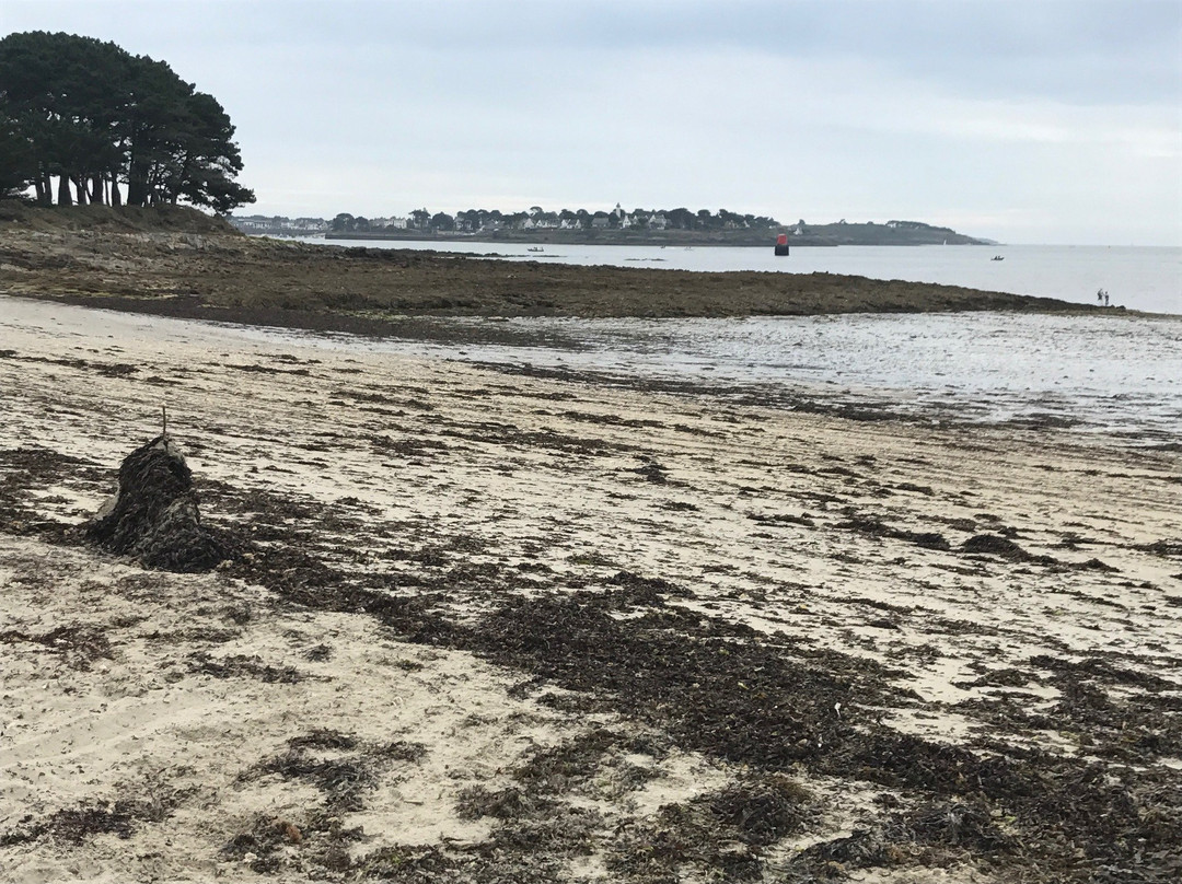 Plage de la Falaise-Locmariaquer必去景点