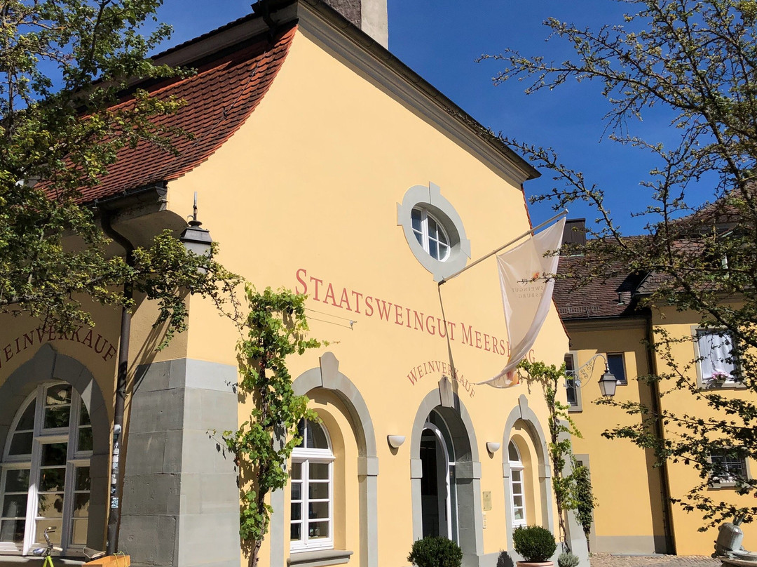 Staatsweingut Meersburg景点图片
