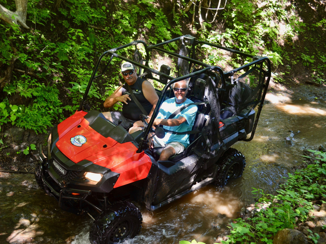 Buggy Tours Costa Rica景点图片