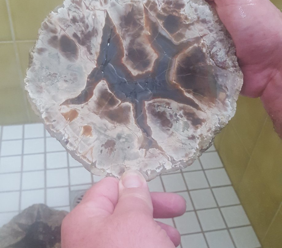 Thunderegg Crystal Mine景点图片