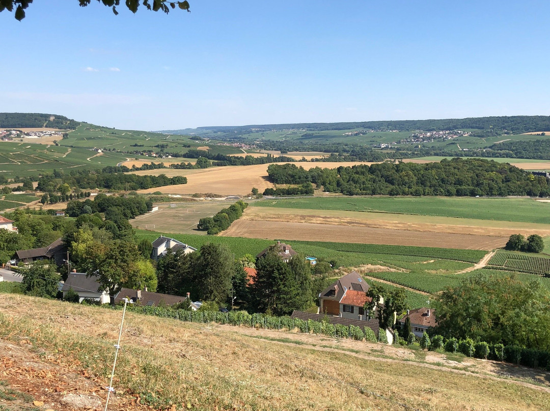 Chatillon-sur-Marne旅游攻略图片