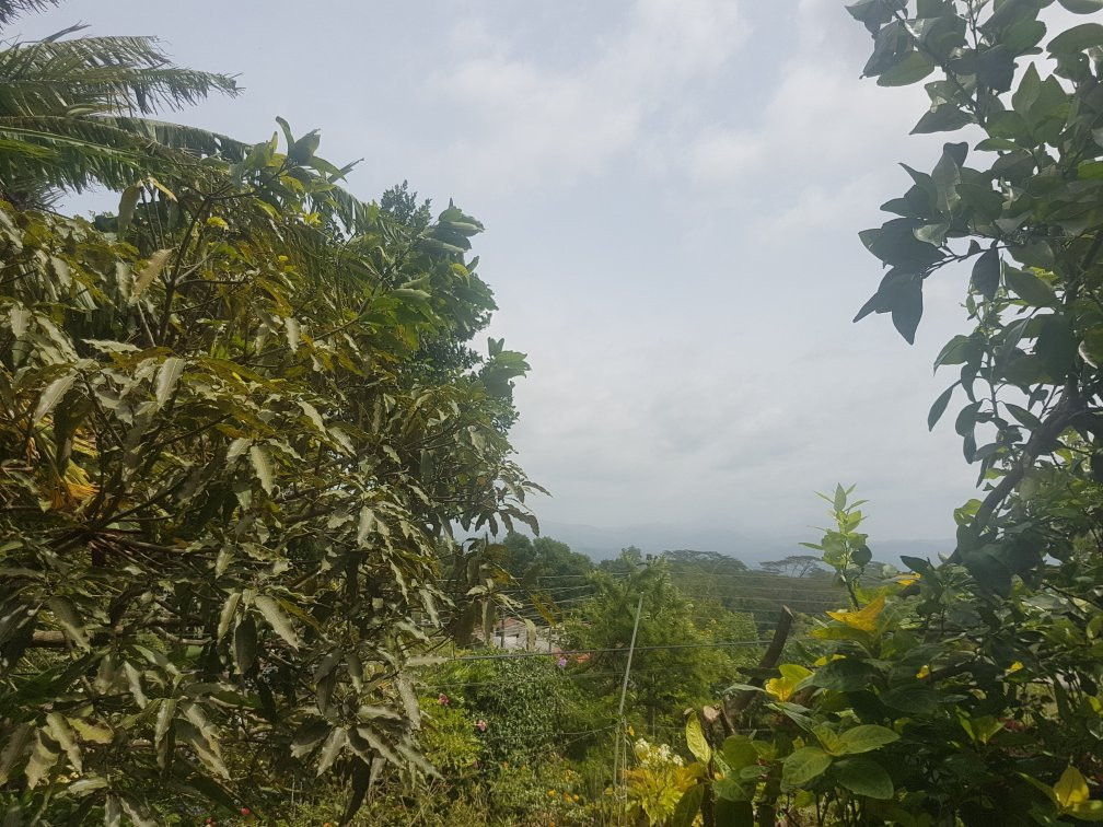 布劳森姆莱斯特厚慕斯代酒店主图